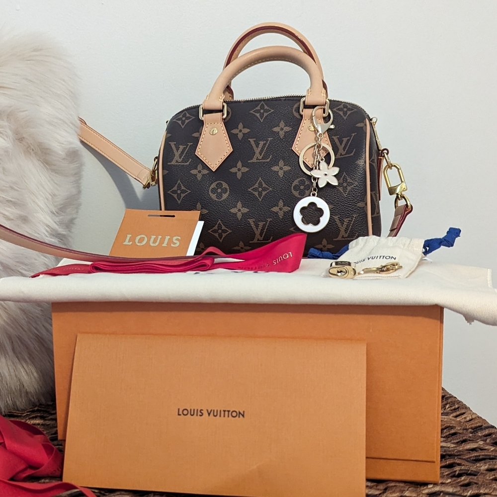 Louis Vuitton Speedy B 20
